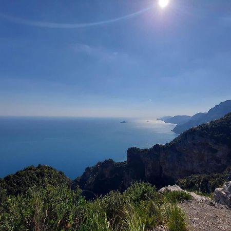 Il Capriccio Apartment กาสเตลลัมมาเร ดิ สตาเบีย ภายนอก รูปภาพ